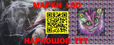 МДПВ Ливны