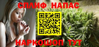 МДПВ Ливны